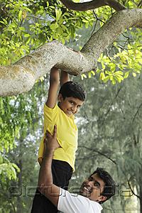 PictureIndia - Father helping young boy jump down from tree